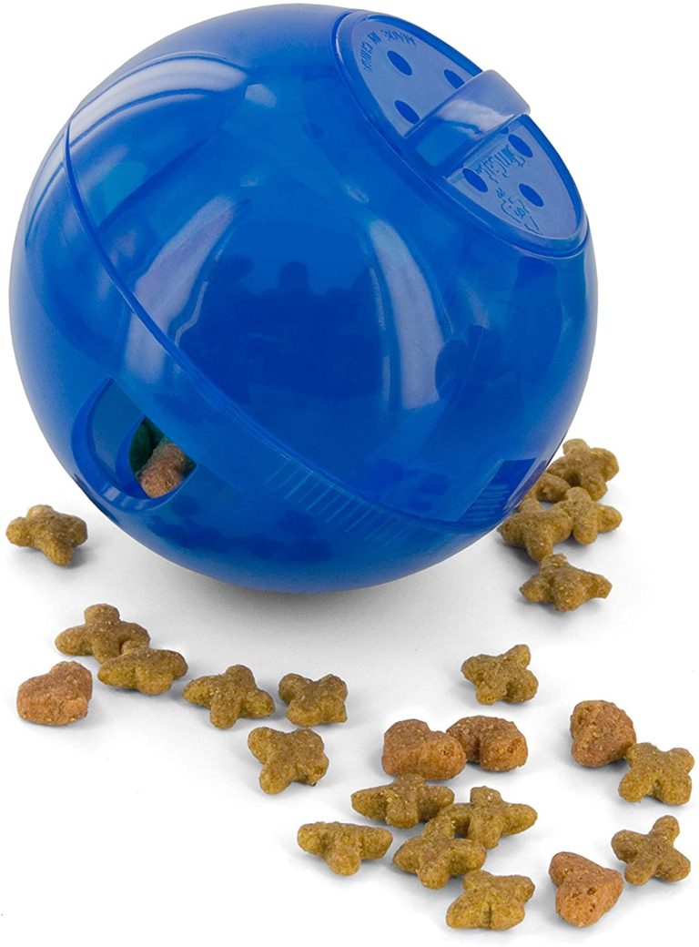 The Best Toys For Bengal Cats [2022] That Bengal Cat