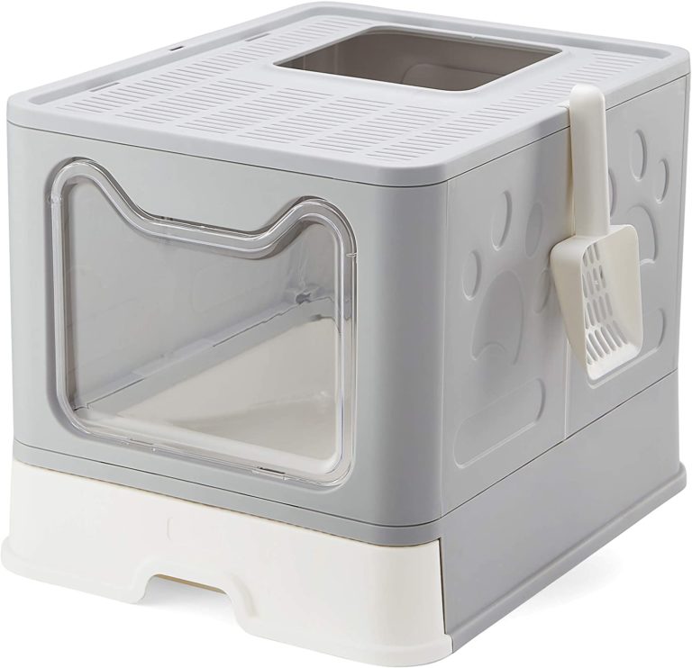 List of 7 Bengal Cat Litter Boxes You Can Buy Today That Bengal Cat