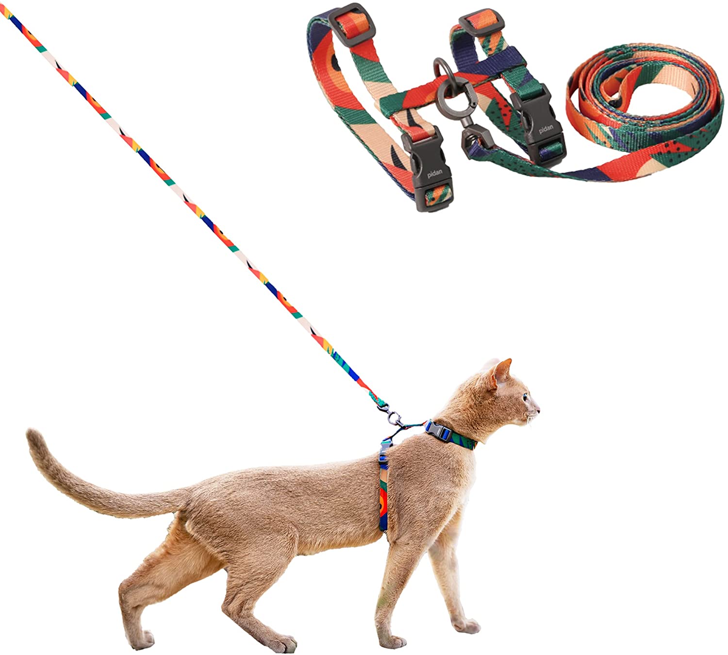 The Best Bengal Cat Harness [2022] That Bengal Cat