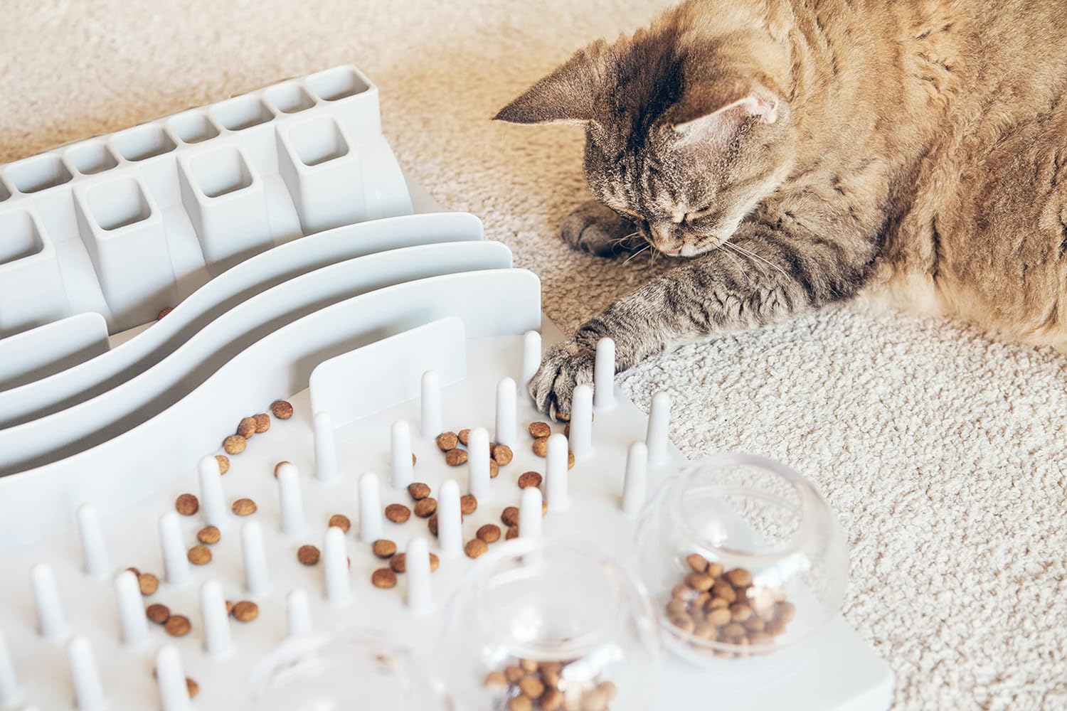 The Best Toys For Bengal Cats [2024] That Bengal Cat